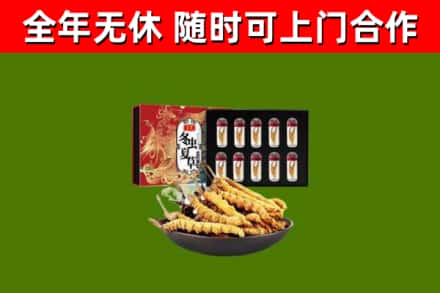 淮南回收冬虫夏草价格
